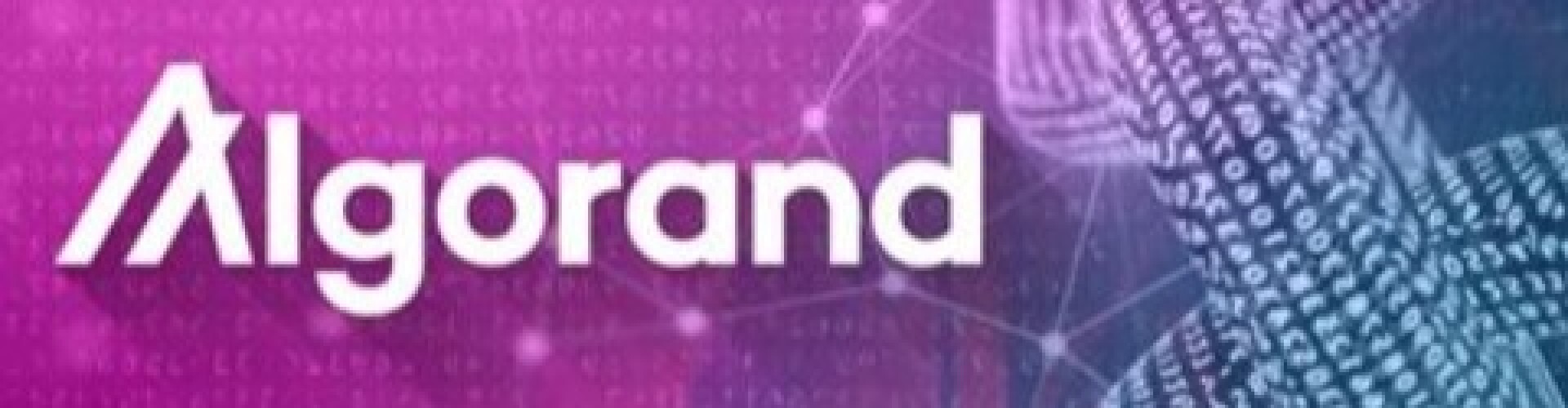 Algorand Ecosystem