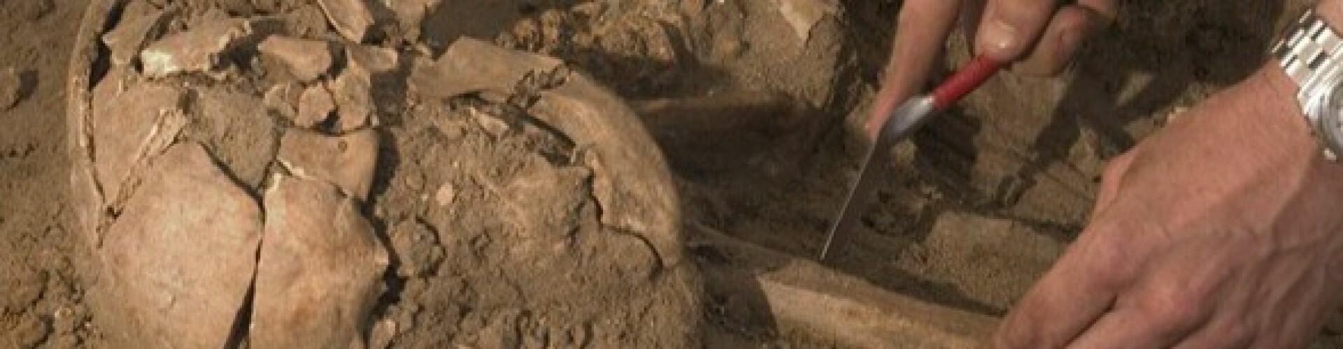Archeology and Anthropology