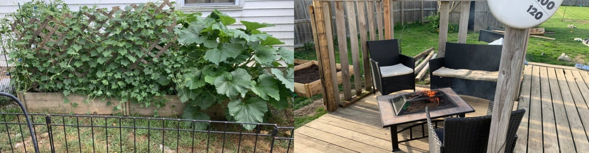 Backyard Garden