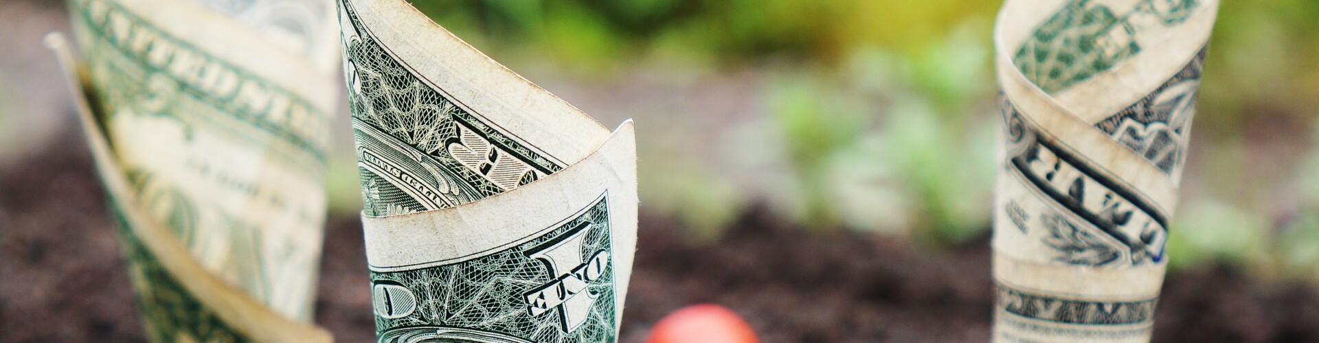 Money making online options reviews