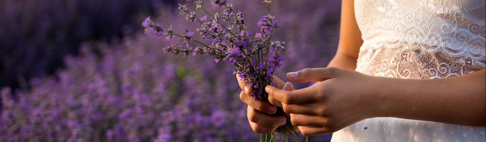 THE HEALING PROPERTIES OF HERBS