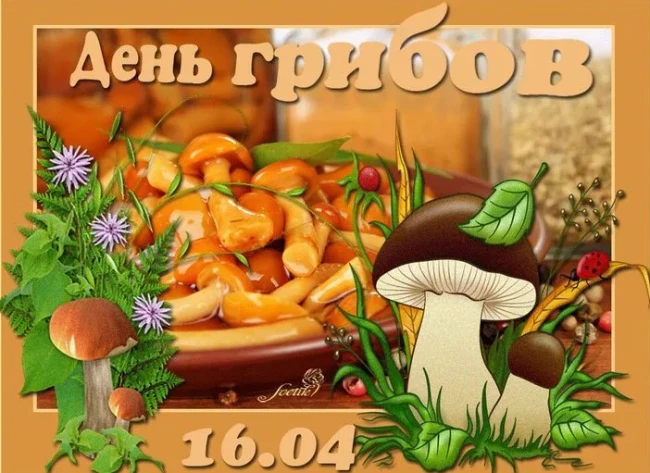 97b7e7f7cc6943f371f731af84c719918cce24500f770a61ad665dae3d67c045.png