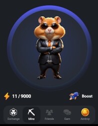Hamster Kombat image