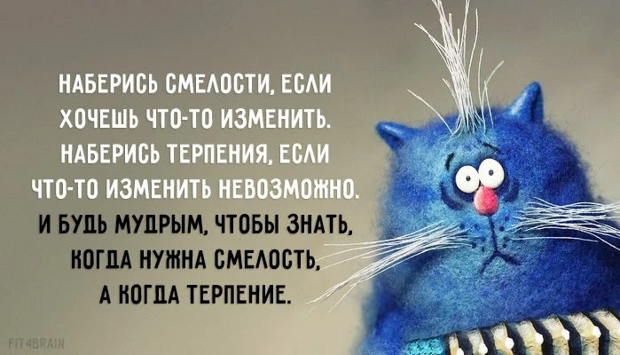 b2e9707ee14ed92f143605688e2c9ad2875c4b5ba85e2c9b9aaac9f8c4a5df31.jpg