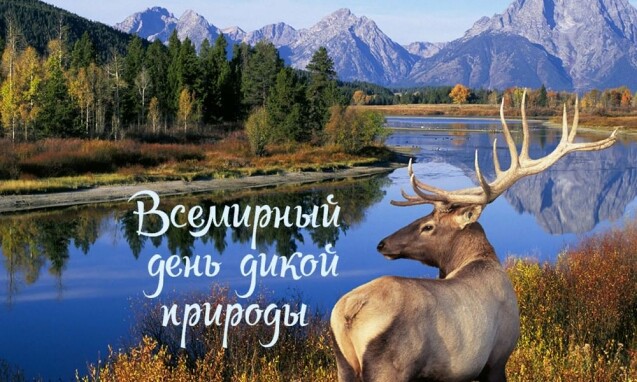 d1b301795ab00a77197cc26a9787631bd78a8c9ae16798ed97396b98bd263a64.jpg