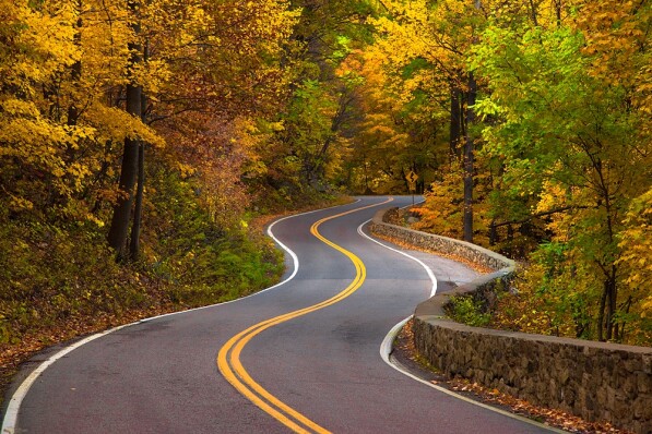 Enjoy The Journey
