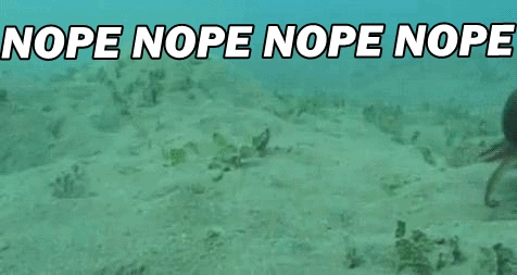 577338ab302f5dacaa3e38964c94c4e58886d7ad0c83ff02c13f437039e07c9a.gif