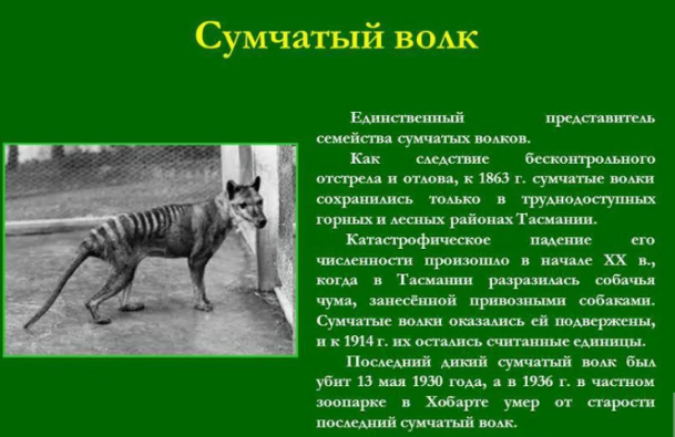 c6cbc9681ce85022d8b330e2fd6341879878786204788df2f1e589f2df0ecf82.png