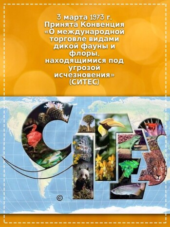 0fa3d1ab2a8b50be7bc42386ff8a39b0cec7c950d8782a1e0f2aad276d93b57b.jpg
