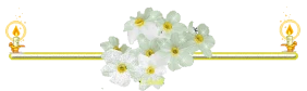 146c4066a14a2872ccac7babb5789443d0f5e9cf543bcb5c921fbe266cc36963.gif