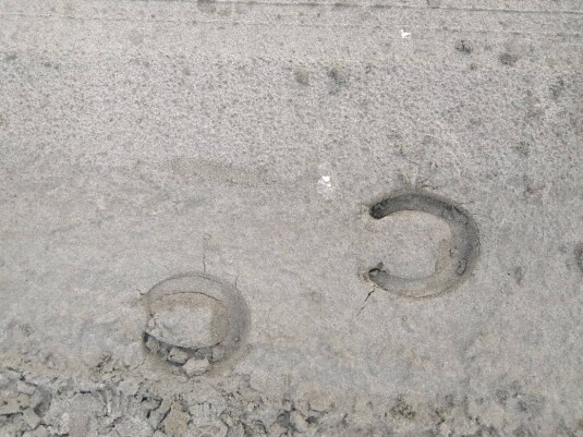 Discovering Mysterious Footprints While Running on The Beach