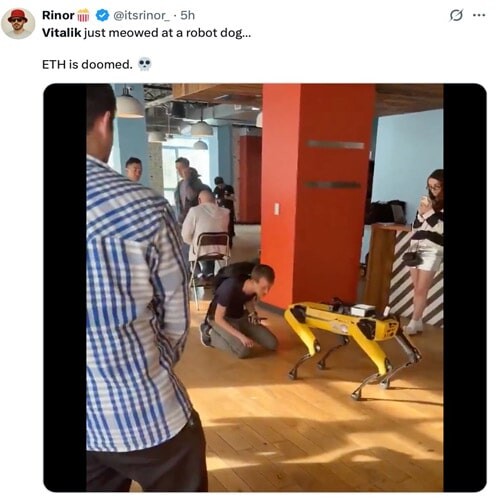 2ad2f8c5934ae1086b503654d5700d1c6b1ab04e5e7919dd96767c812b1ff3f4.jpg