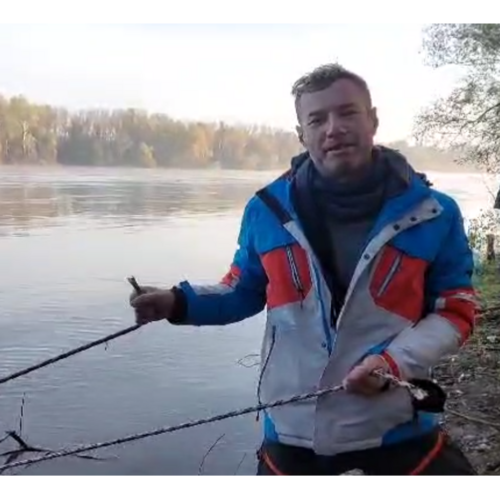 Forest Bandits Strike Again: Cutting the Ropes Incident