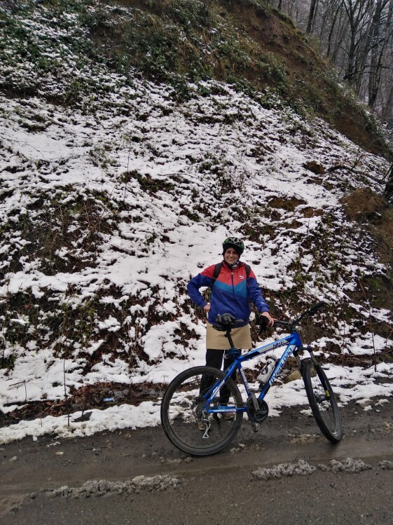 The Maze of Mountain Roads Towards the Snow-Covered Trees (2)