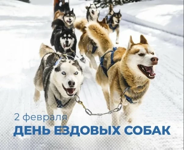e35200ed69e622d71c73696746075ef8ebea2061fe7a50a64c0c0a21a4d931d5.jpg