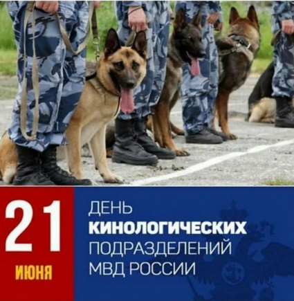 e1cf1606d6fe43684551f1d96e79dfd9478a0ef6300fa09454e2f61722435d3d.png