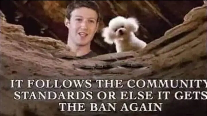 It follows the community standards or else it gets the ban again!