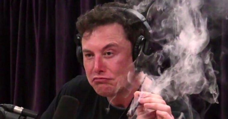 Elon Musk Trolls Bitcoin Bulls