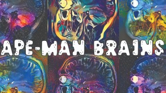 NFTs - Ape Man Brain Collection