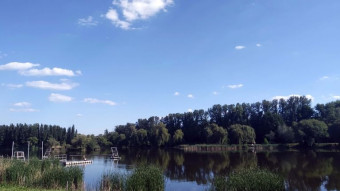 I don't like Mondays. I will not change my mind, even though it was pleasant - My Actifit Report Card: May 26 2025