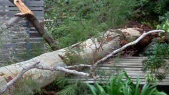 The Move Part 13: Meeting the Neighbours...