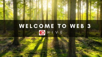 Seeing The Trees In The Forest