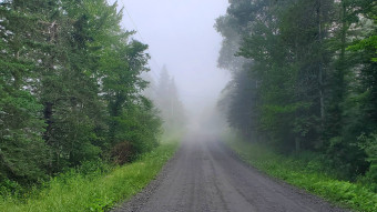 Finding Peace in 2025 (you really can!)