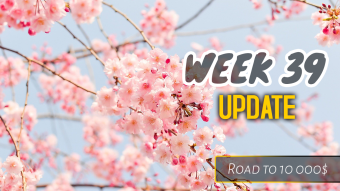 Week 39 Update