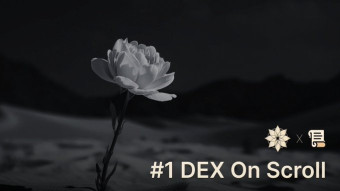 Exploring A Cutting-Edge Automated Market Maker - Nuri Exchange On Scroll