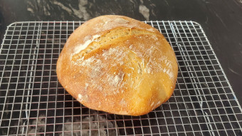 Sourdough  (I've already raised my children.....)