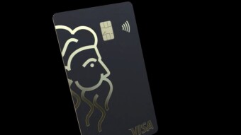 Getting Ready For Christmas Shopping With My Plutus Card