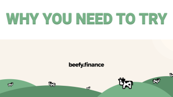 WHY YOU NEED TO TRY BEEFY FINANCE!