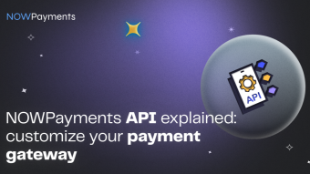 NOWPayments API Explained: Customize Your Payment Gateway