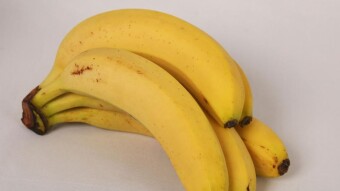 Banano's Jungle TV Faucet Review