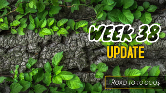 Week 38 Update