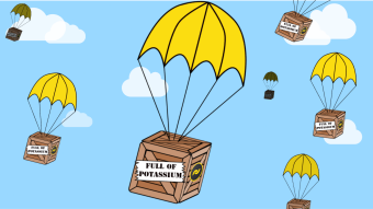 BANANO for Everyone - Giveaway at Reddit!