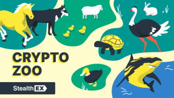 StealthEX Crypto Newsletter - Issue #37 - Welcome to the Jungle