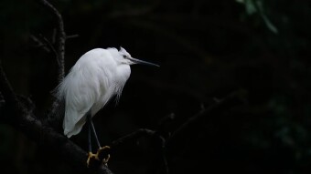 THESE FIVE COIN CAN CONVERT YOUR BITCOIN DOUBLE IN JUST THREE MONTHS