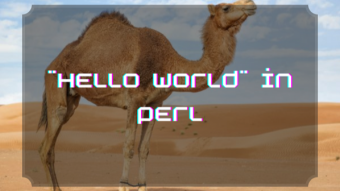 "Hello World" in Perl