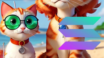 Is Solana The easyJet of Crypto?