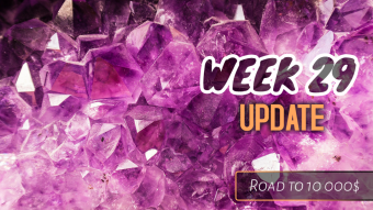 Week 29 Update