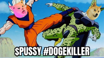 Why You Should Start Investing in $PUSSY Now