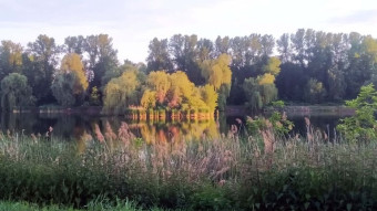 A very nice Tuesday, sunny and warm - My Actifit Report Card: May 27, 2025