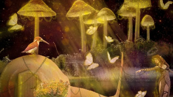 LMAC Round 220 - Fantasy Forest [ENG/ESP]