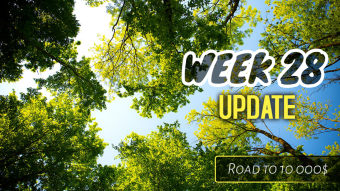 Week 28 Update