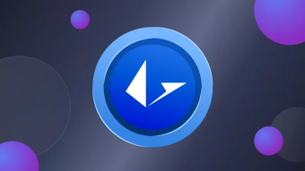 What Is Loopring | Detailed Review