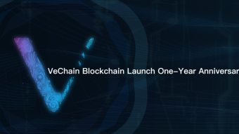Letter from Xiaoning Nan to VeFam and OceanExer — upon the Celebration of VeChainThor Blockchain Launch One-Year Anniversary