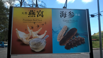 Malaysia, Langkawi, Pinang, bird's nest soup and sea cucumber - astronomical prices of delicacies