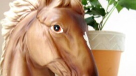 Best cryptocurrency channel on youtube