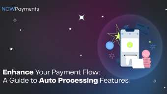 5 Easy Steps to Enhance Your Payment Flow With Auto Processing